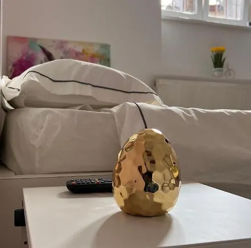 Apartmán Cotroceni Studio *